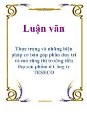 Luận văn Thực trạng và những biện pháp cơ bản góp phần duy trì và mở rộng thị trường tiêu thụ sản phẩm ở Công ty TESECO