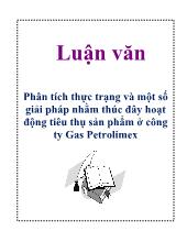 Phân tích thực trạng và một số giải pháp nhằm thúc đây hoạt động tiêu thụ sản phẩm ở công ty Gas Petrolimex