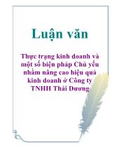 Thực trạng kinh doanh và một số biện pháp Chủ yếu nhằm nâng cao hiệu quả kinh doanh ở Công ty TNHH Thái Dương