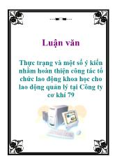 Thực trạng và một số ý kiến nhằm hoàn thiện công tác tổ chức lao động khoa học cho lao động quản lý tại Công ty cơ khí 79