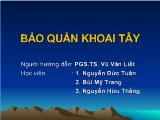 Thuyết trình Bảo quản khoai tây