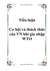 Tiểu luận Cơ hội và thách thức của Việt Nam khi tham gia WTO