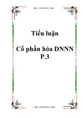 Tiểu luận Cổ phần hóa Doanh nghiệp nhà nước P.3