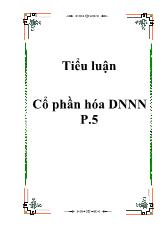 Tiểu luận Cổ phần hóa Doanh nghiệp nhà nước P.5