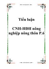 Tiểu luận Công nghiệp hóa- hiện đại hóa nông nghiệp nông thôn P.6