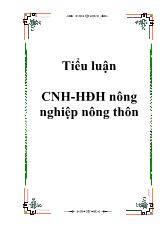 Tiểu luận Công nghiệp hóa- hiện đại hóa nông nghiệp nông thôn P.1