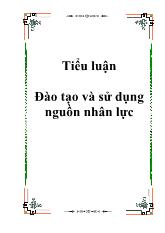 Tiểu luận Đào tạo và sử dụng nguồn nhân lực