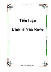 Tiểu luận Kinh tế Nhà Nước 1