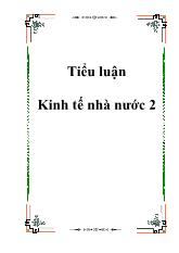 Tiểu luận Kinh tế nhà nước 2