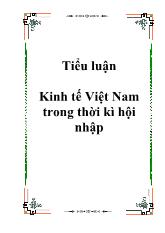 Tiểu luận Kinh tế Việt Nam trong thời kì hội nhập