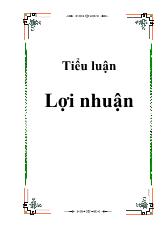 Tiểu luận Lợi nhuận 1