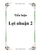 Tiểu luận Lợi nhuận 2