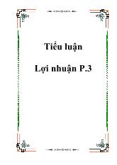 Tiểu luận Lợi nhuận 3