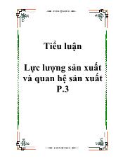 Tiểu luận Lực lượng sản xuất và quan hệ sản xuất P.3