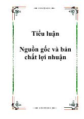 Tiểu luận Nguồn gốc và bản chất lợi nhuận