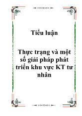 Tiểu luận Thực trạng và một số giải pháp nhằm phát triển khu vực kinh tế tư nhân