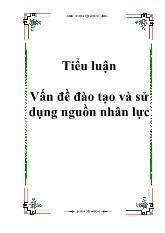 Tiểu luận Vấn đề đào tạo và sử dụng nguồn nhân lực