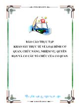 Báo cáo Thực tập khảo sát thực tế về loại hình cơ quan, chức năng, nhiệm vụ, quyền hạn và cơ cấu tổ chức của cơ quan