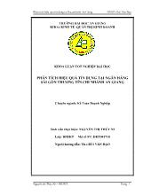 Phân tích hiệu quả tín dụng tại ngân hàng Sài Gòn Thương Tín chi nhánh An Giang