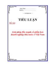 Tiểu luận Giải pháp đẩy mạnh cổ phần hoá doanh nghiệp nhà nước ở Việt Nam