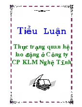 Tiểu luận Thực trạng quan hệ lao động ở Công ty Cổ phần kim loại màu Nghệ Tĩnh