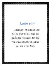 Giải pháp cơ bản nhằm khai thác và phát triển có hiệu quả nguồn lực con người đáp ứng yêu cầu công nghiệp hoá hiện đại hoá ở Việt Nam