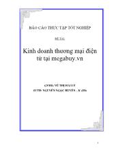 Kinh doanh thương mại điện tử tại MEGABUY.VN