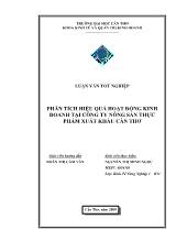 Luận văn Phân tích hiệu quả hoạt động kinh doanh tại công ty nông sản thực phẩm xuất khẩu Cần Thơ