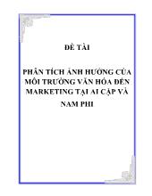 Phân tích ảnh hưởng của môi trường văn hóa đến marketing tại Ai Cập và Nam Phi