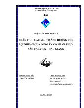 Phân tích các yếu tố ảnh hưởng đến lợi nhuận của công ty Cổ phần Thủy Sản Cafatex - Hậu Giang