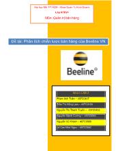 Phân tích chiến lược bán hàng của Beeline Việt Nam