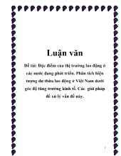 Đặc điểm của thị trường lao động ở các nước đang phát triển. Phân tích hiện tượng dư thừa lao động ở Việt Nam dưới góc độ tăng trưởng kinh tế. Các giải pháp để xử lý vấn đề này