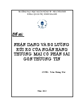 Đề tài Nhận dạng và đo lường rủi ro của ngân hàng thương mại cổ phần Sài Gòn Thương Tín