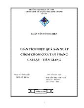 Luận văn Phân tích hiệu quả sản xuất chôm chôm ở xã Tân Phong Cai Lậy - Tiền Giang
