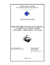 Luận văn Phân tích hiệu quả sản xuất, dịch vụ của hợp tác xã nông nghiệp Tân Thới 1 – Phong Điền – Cần Thơ