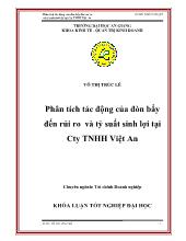 Luận văn Phân tích tác động của đòn bẩy đến rủi ro và tỷ suất sinh lợi tại Công ty trách nhiệm hữu hạn Việt An