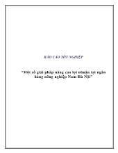Một số giải pháp nâng cao lợi nhuận tại ngân hàng nông nghiệp Nam Hà Nội