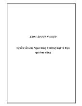 Nguồn vốn của Ngân hàng Thương mại và hiệu quả huy động