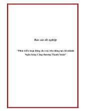 Phát triển hoạt động cho vay tiêu dùng tại chi nhánh Ngân hàng Công thương Thanh Xuân
