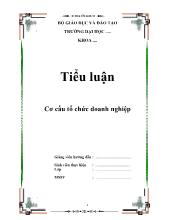 Tiểu luận Cơ cấu tổ chức doanh nghiệp