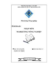 Tiểu luận Nhập môn marketing nông nghiệp