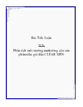 Tiểu luận Phân tích môi trường marketing của sản phẩm dầu gội đầu CLEAR MEN