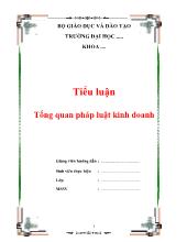 Tiểu luận Tổng quan pháp luật kinh doanh