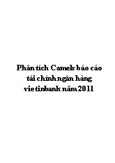 Báo cáo Phân tích Camels tài chính ngân hàng Vietinbank năm 2011