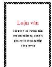 Luận văn Mở rộng thị trường tiêu thụ sản phẩm tại công ty phát triển công nghiệp năng lượng