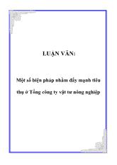 Luận văn Một số biện pháp nhằm đẩy mạnh tiêu thụ ở Tổng công ty vật tư nông nghiệp