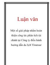 Luận văn Một số giải pháp nhằm hoàn thiện công tác phân tích tài chính tại Công ty điều hành hướng dẫn du lịch Vinatour