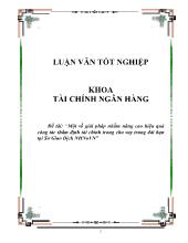 Luận văn Một số giải pháp nhằm nâng cao hiệu quả công tác thẩm định tài chính trong cho vay trung dài hạn tại Sở Giao Dịch Ngân hàng nông nghiệp Việt  Nam