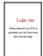 Luận văn Những mảng tối của Toàn cầu hóa và giải pháp của Việt Nam trong tiến trình hội nhập