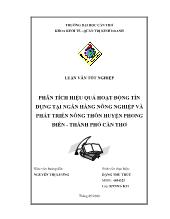 Luận văn Phân tích hiệu quả hoạt động tín dụng tại ngân hàng nông nghiệp và phát triển nông thôn huyện Phong Điền - Thành phố Cần Thơ